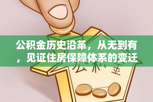 泰来公积金历史沿革，从无到有，见证住房保障体系的变迁