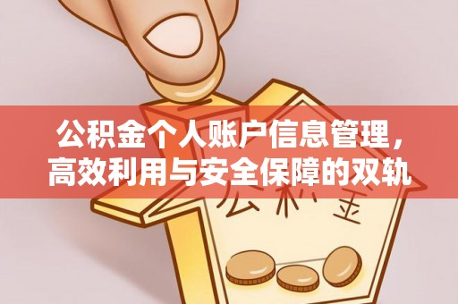 泰来公积金个人账户信息管理，高效利用与安全保障的双轨并行