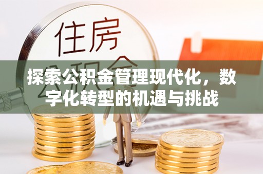 泰来探索公积金管理现代化，数字化转型的机遇与挑战