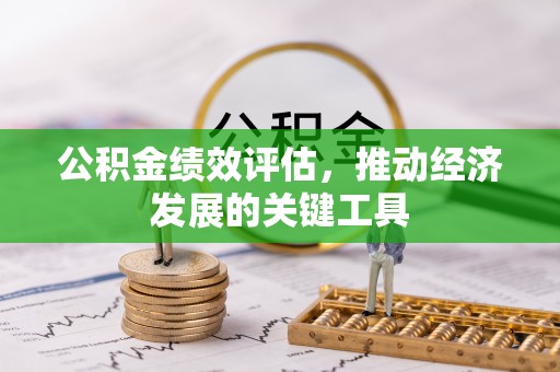 泰来公积金绩效评估，推动经济发展的关键工具