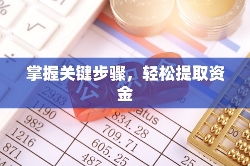 泰来掌握关键步骤，轻松提取资金