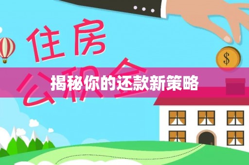 泰来揭秘你的还款新策略