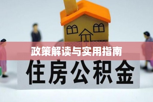 泰来政策解读与实用指南