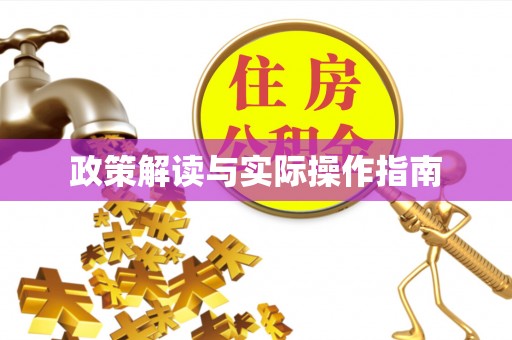 泰来政策解读与实际操作指南
