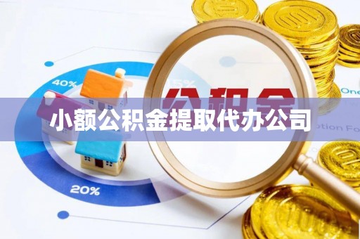 泰来小额公积金提取代办公司