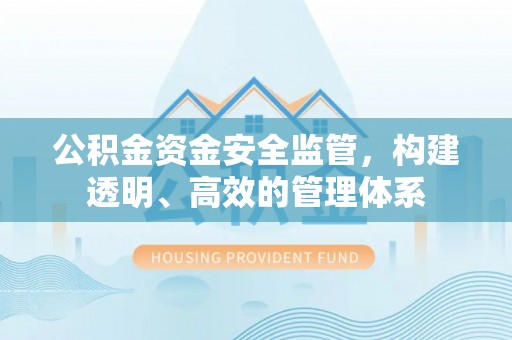 泰来公积金资金安全监管，构建透明、高效的管理体系