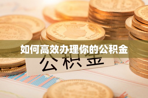 泰来如何高效办理你的公积金