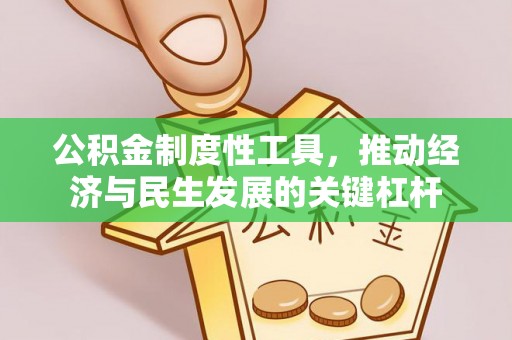 泰来公积金制度性工具，推动经济与民生发展的关键杠杆