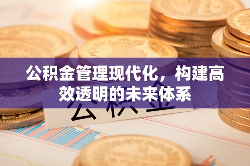 泰来公积金管理现代化，构建高效透明的未来体系