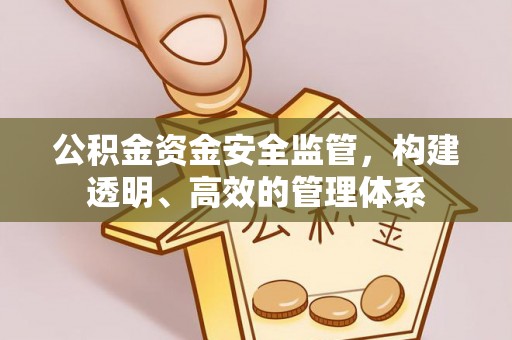 泰来公积金资金安全监管，构建透明、高效的管理体系