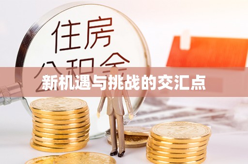 泰来新机遇与挑战的交汇点