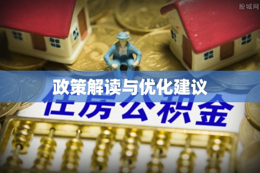 泰来政策解读与优化建议
