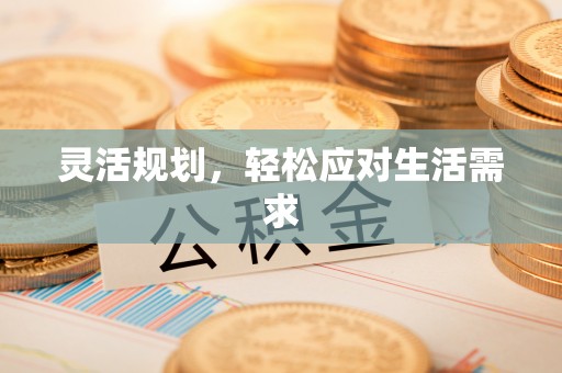 泰来灵活规划，轻松应对生活需求