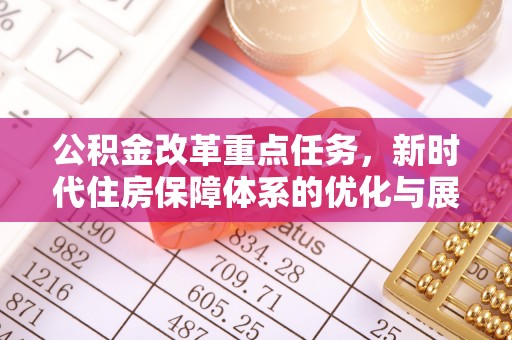 泰来公积金改革重点任务，新时代住房保障体系的优化与展望