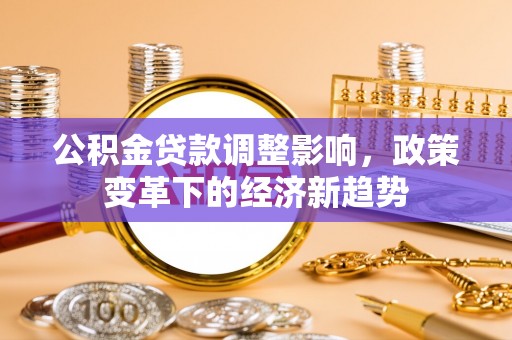 泰来公积金贷款调整影响，政策变革下的经济新趋势