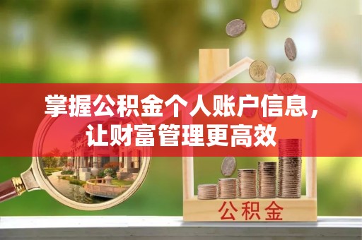 泰来掌握公积金个人账户信息，让财富管理更高效