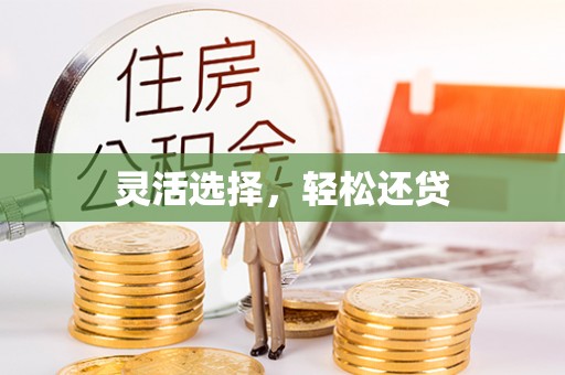 泰来灵活选择，轻松还贷