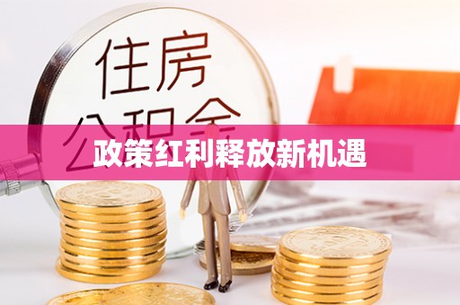 泰来政策红利释放新机遇
