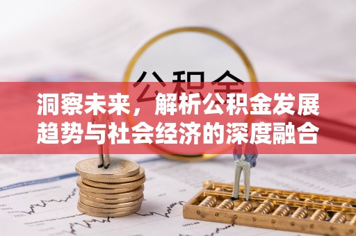 泰来洞察未来，解析公积金发展趋势与社会经济的深度融合