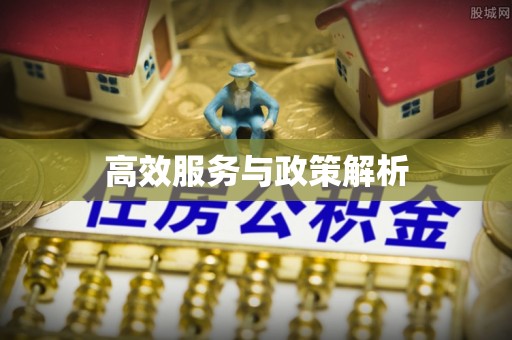 泰来高效服务与政策解析