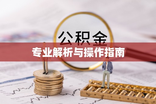 泰来专业解析与操作指南