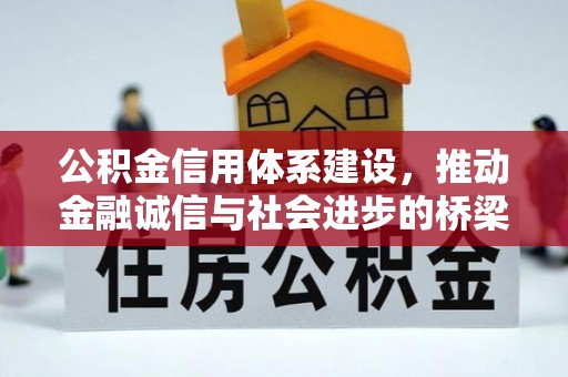 泰来公积金信用体系建设，推动金融诚信与社会进步的桥梁