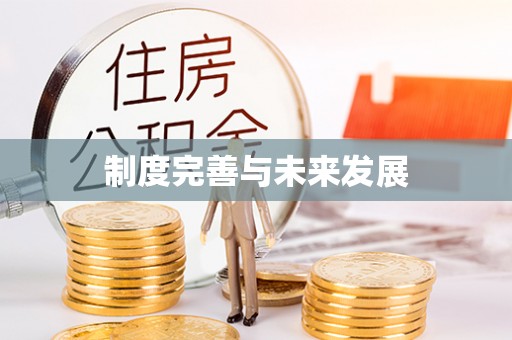 泰来制度完善与未来发展