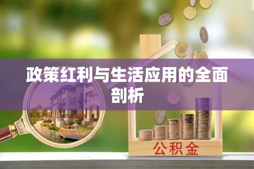 泰来政策红利与生活应用的全面剖析