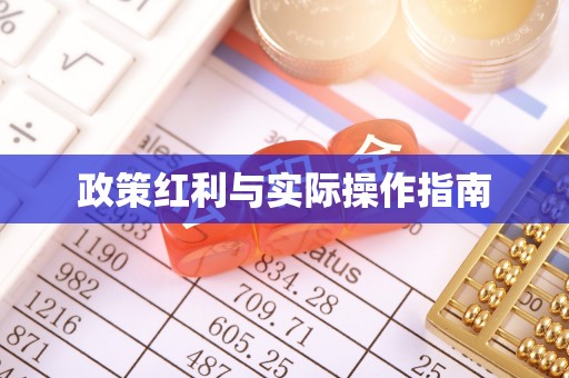 泰来政策红利与实际操作指南