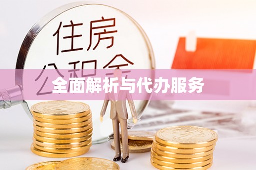 泰来全面解析与代办服务
