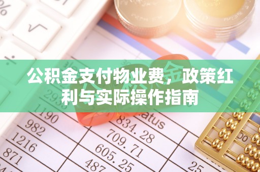 泰来公积金支付物业费，政策红利与实际操作指南