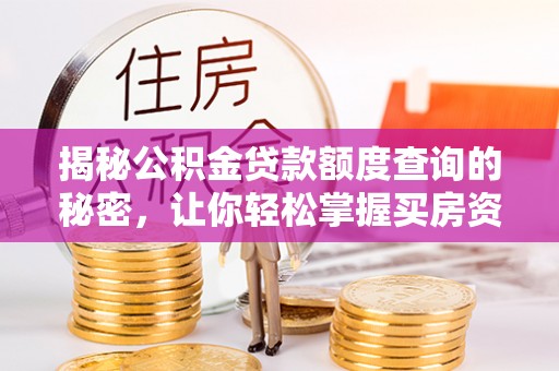 泰来揭秘公积金贷款额度查询的秘密，让你轻松掌握买房资金规划