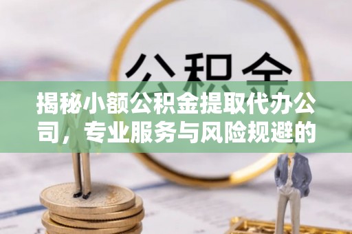 泰来揭秘小额公积金提取代办公司，专业服务与风险规避的平衡艺术