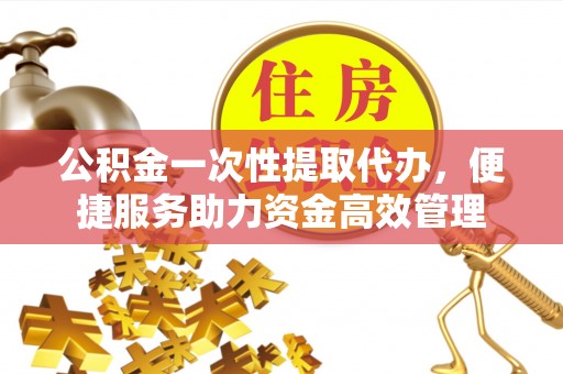 泰来公积金一次性提取代办，便捷服务助力资金高效管理
