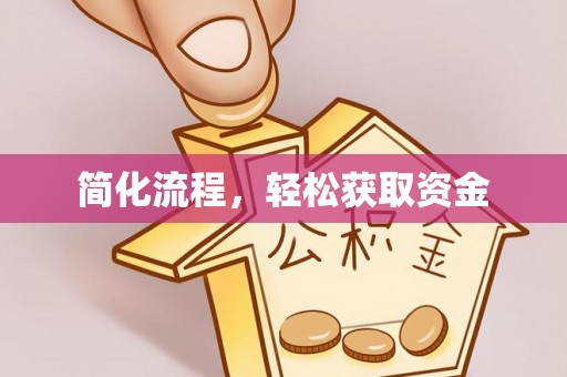 泰来简化流程，轻松获取资金
