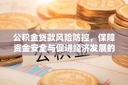 泰来公积金贷款风险防控，保障资金安全与促进经济发展的平衡之道