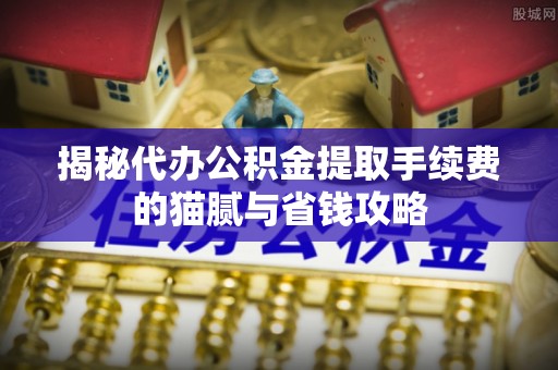 泰来揭秘代办公积金提取手续费的猫腻与省钱攻略