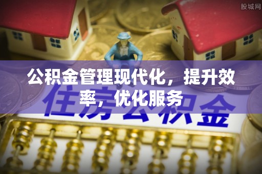 泰来公积金管理现代化，提升效率，优化服务