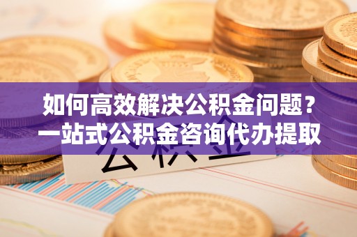 泰来如何高效解决公积金问题？一站式公积金咨询代办提取服务全解析