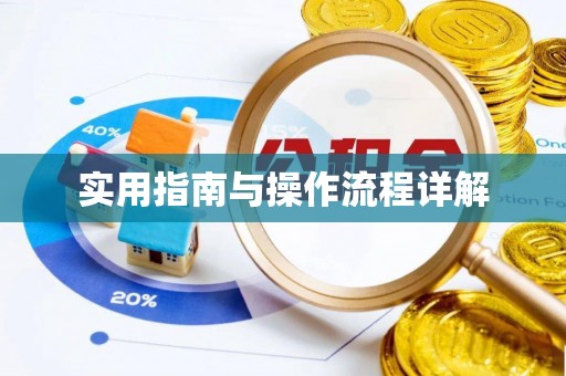 泰来实用指南与操作流程详解