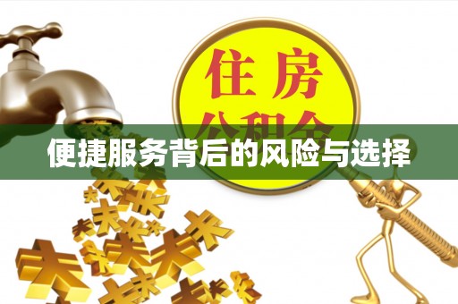 泰来便捷服务背后的风险与选择