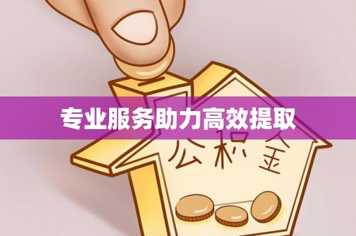 泰来专业服务助力高效提取