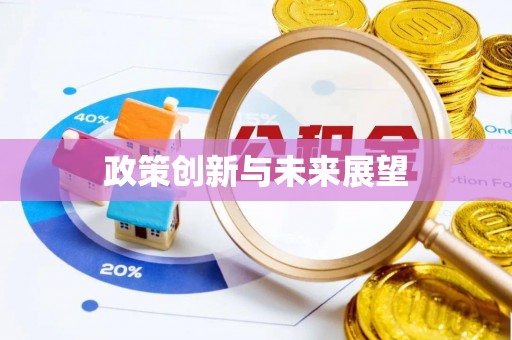 泰来政策创新与未来展望